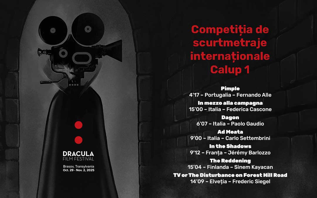 Competiția de scurtmetraje internaționale